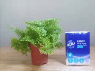 （分類：）位於 。 由 byg2020 提交（商品編號 1318703490，圖片 1）。簡介： 。