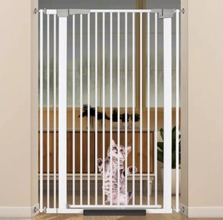 （分類：）位於 。 由 krigare 提交（商品編號 1318638915，圖片 1）。簡介： 。