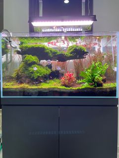 (Category: ) located in . Submitted by tiny_town (Listing ID 1318686573, Image 1). Description: .
