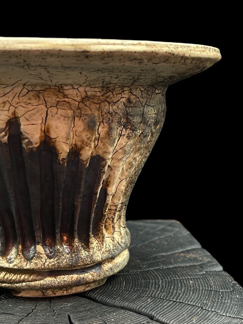 古賀文博 鉢 古賀文博 朽る 植木鉢 作家鉢 塊根 浅鉢 大鉢検