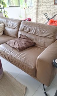 (Category: ) located in . Submitted by buddee (Listing ID 1318648493, Image 1). Description: .