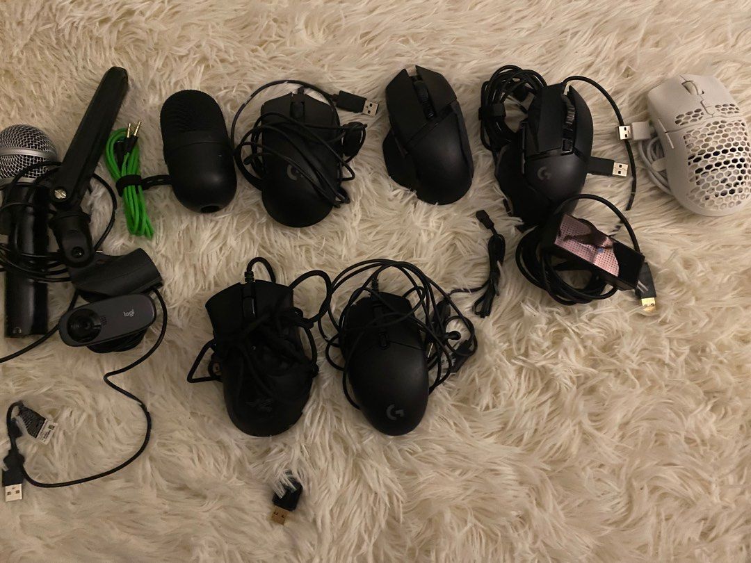 Multiple mouse webcam and mic.450360969349703680