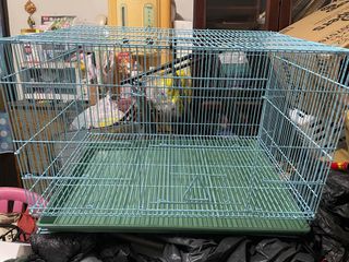 由 vicwangg (刊登 ID 1318928392，圖片 1) 提交，位於 的 (類別：)，說明：。