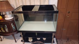 (Category: ) located in . Submitted by boyannaga (Listing ID 1318872281, Image 1). Description: .