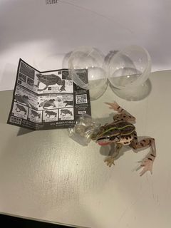 （分類：）位於 。 由 wasupya 提交（商品編號 1318822479，圖片 1）。簡介： 。