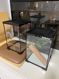 （分類：）位於 。 由 renefi 提交（商品編號 1318928503，圖片 1）。簡介： 。