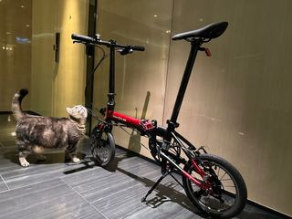 （分類：）位於 。 由 realg 提交（商品編號 1318927968，圖片 1）。簡介： 。