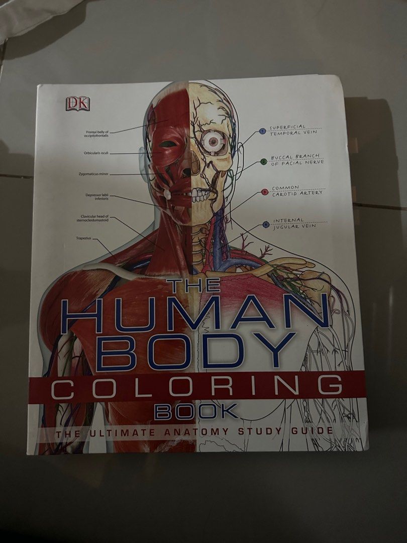 Human Body Coloring Book | Medical Book, Anatomy, Hobbies & Toys, Books ...