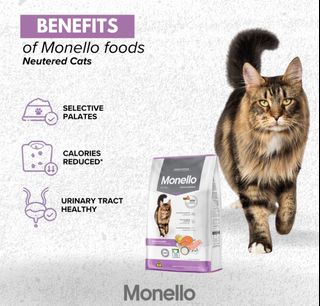 (Category: ) located in . Submitted by pets.r.us.manila (Listing ID 1319133730, Image 1). Description: .