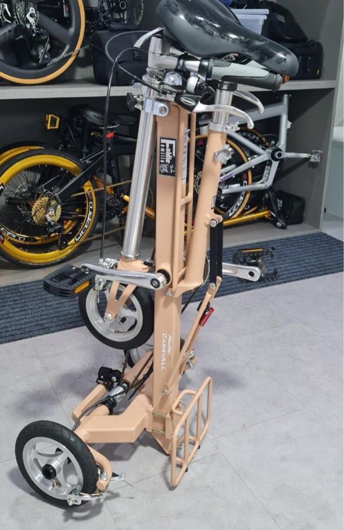 Carryall tricycle review online