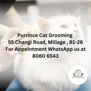 (Category: ) located in . Submitted by purrince.cat.spa (Listing ID 1323228588, Image 1). Description: .