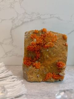 （分類：）位於 。 由 jms_jimusho 提交（商品編號 1323218755，圖片 1）。簡介： 。