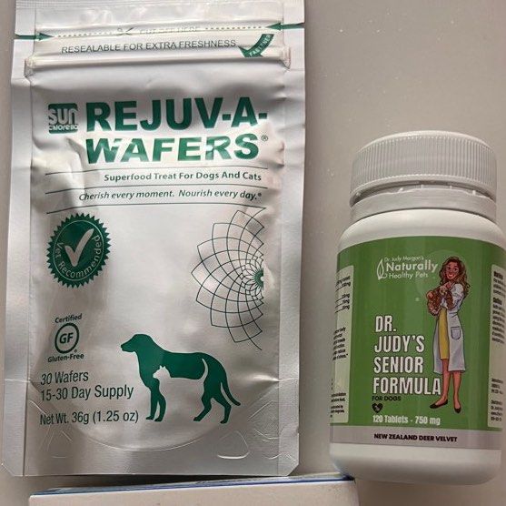 Canine cognitive dysfunction supplements cheap