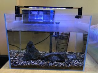 （分類：）位於 。 由 bmm_le 提交（商品編號 1323167858，圖片 1）。簡介： 。