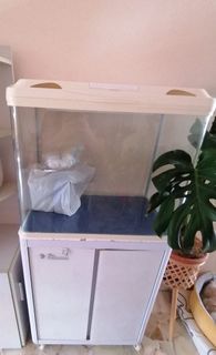 (Category: ) located in . Submitted by succulently (Listing ID 1323094013, Image 1). Description: .
