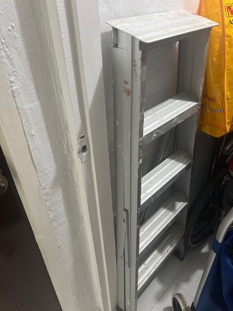 lightweight ladder