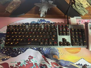 (Category: ) located in . Submitted by fieee24 (Listing ID 1323247802, Image 1). Description: .
