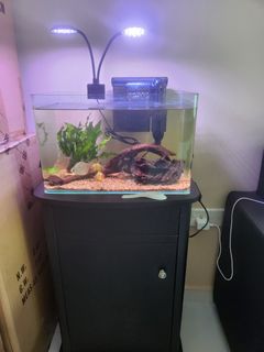 (Category: ) located in . Submitted by Happygogoolucky (Listing ID 1323085330, Image 1). Description: .