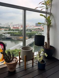 (Category: ) located in . Submitted by sxz08 (Listing ID 1323222619, Image 1). Description: .