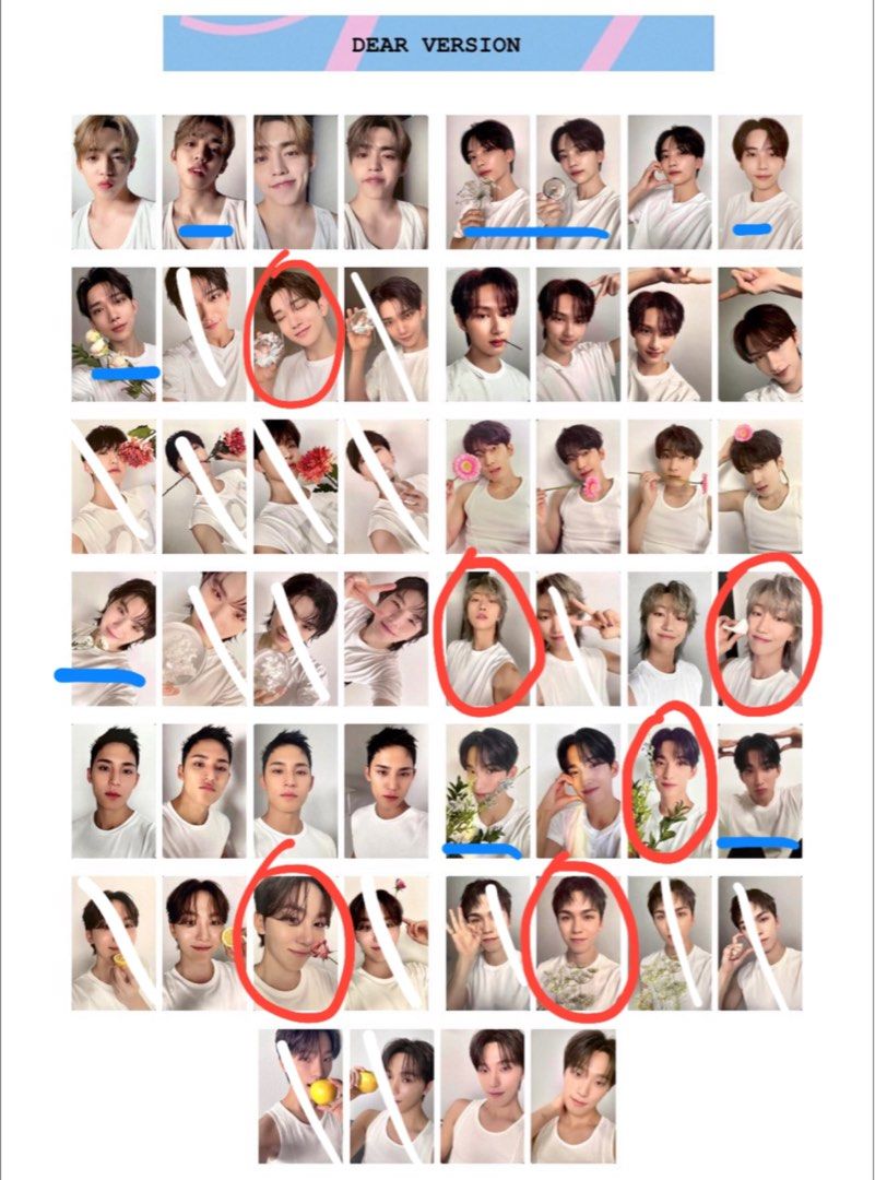 SEVENTEEN RIGHT HERE caratzone ホシ