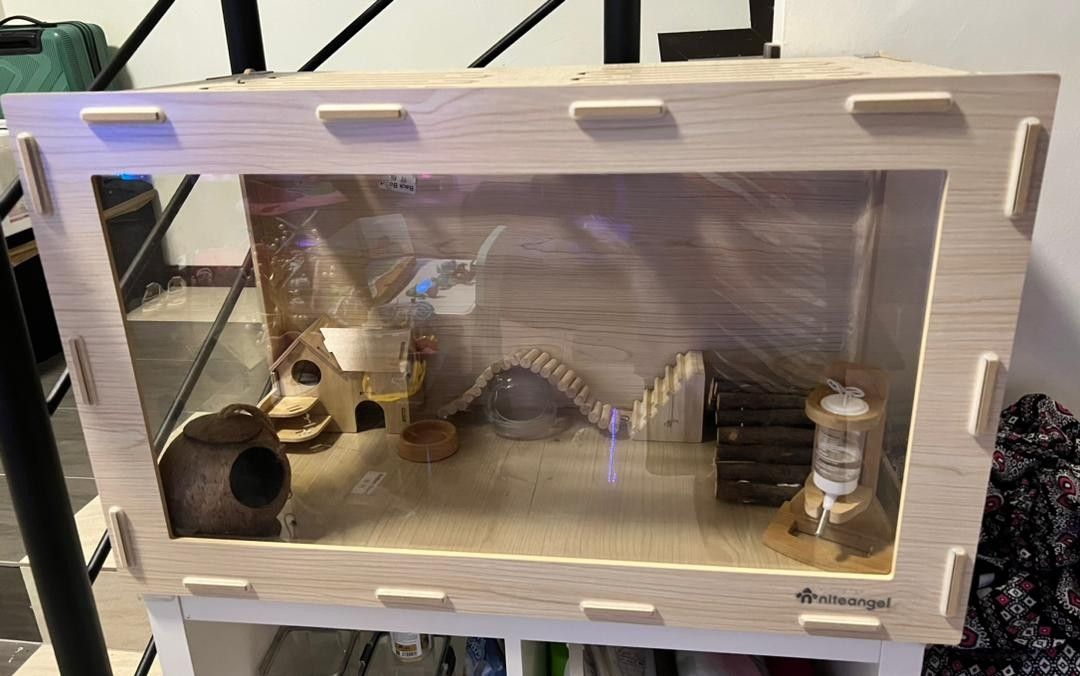 Image showcasing Niteangel Hamster Cage with bedding, food, toys and other necessary ...