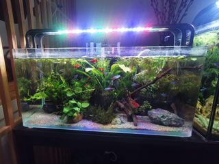 (Category: ) located in . Submitted by swissbaker (Listing ID 1324745027, Image 1). Description: .