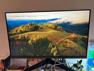 (Category: ) located in . Submitted by omar1300 (Listing ID 1324770557, Image 1). Description: .