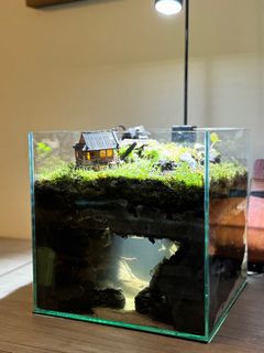 (Category: ) located in . Submitted by nature_art_studio (Listing ID 1324933939, Image 1). Description: .