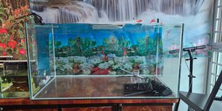 (Category: ) located in . Submitted by jovs12 (Listing ID 1325029645, Image 1). Description: .