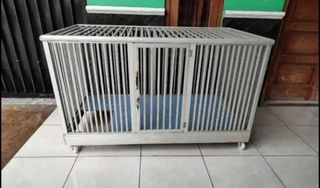 (Kategori: ) berada di . Dikirim oleh killacitah (ID iklan 1324949435, Gambar 1). Deskripsi: .