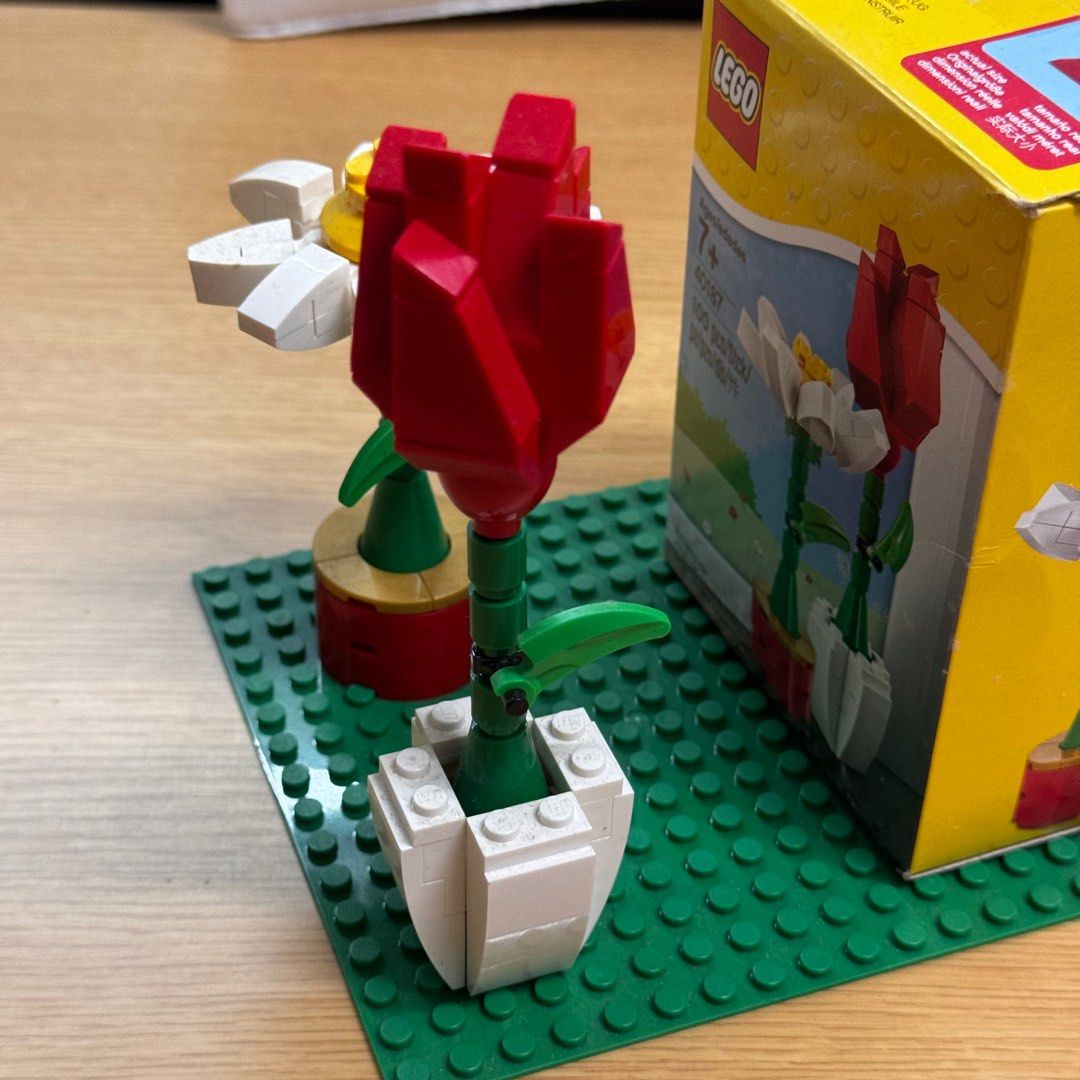 LEGO Flower Display (40187), Hobbies & Toys, Toys & Games on Carousell