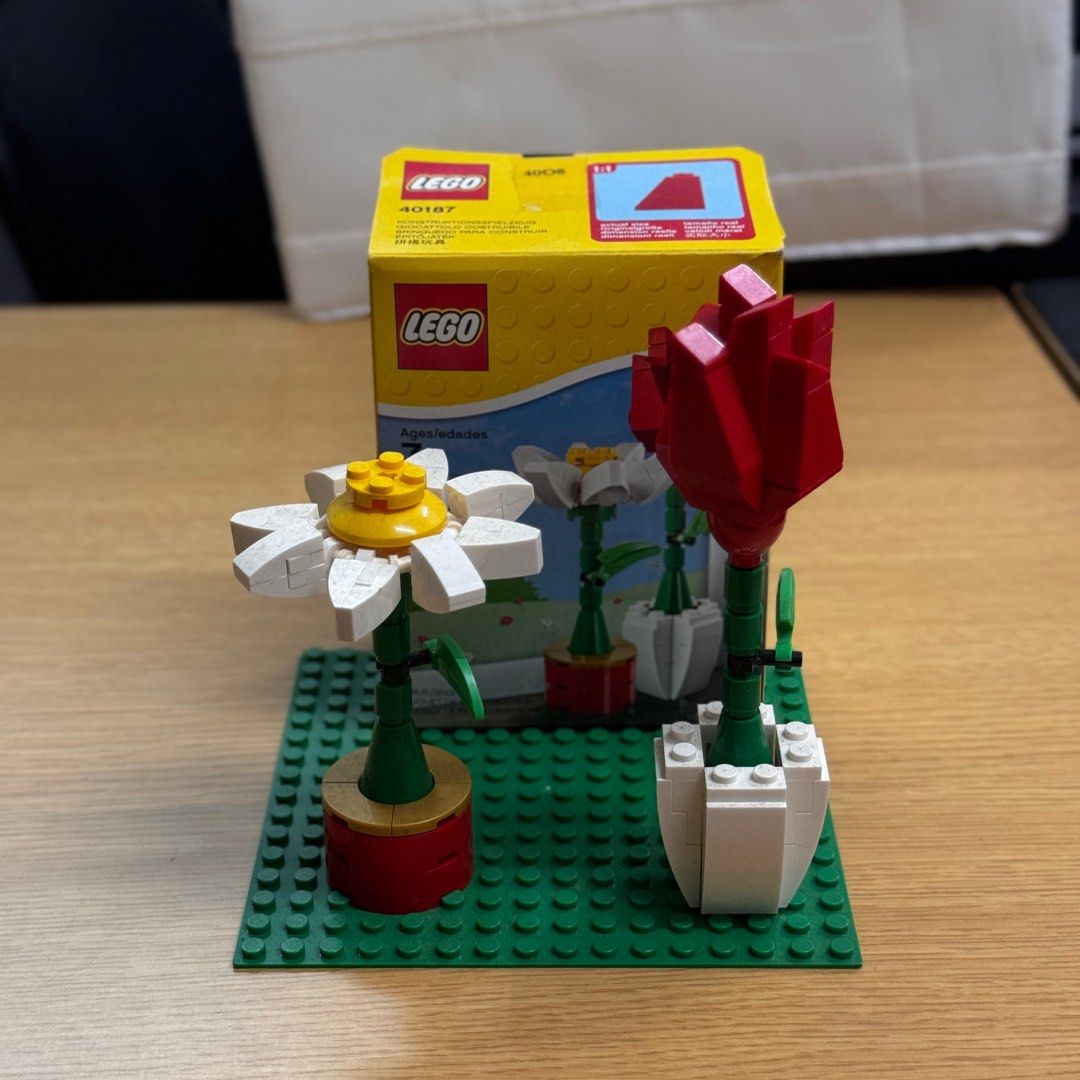 LEGO Flower Display (40187), Hobbies & Toys, Toys & Games on Carousell