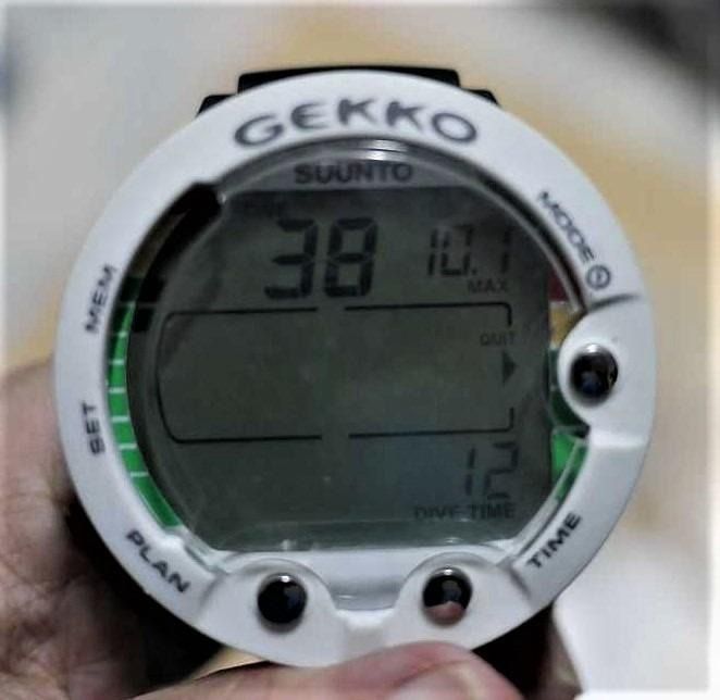 Gekko dive computer sales