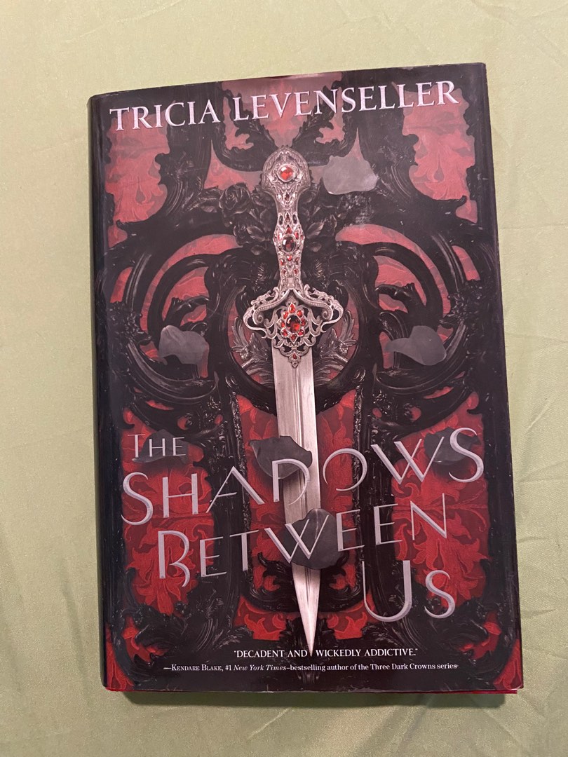 The Shadow Between Us, Hobbies & Toys, Books & Magazines, Storybooks on