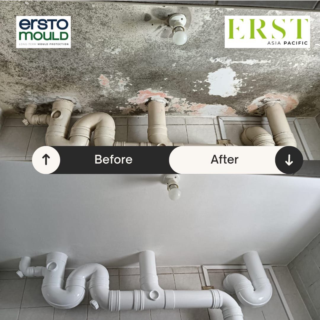 Black Mould on Walls? Try ERSTOMOULD – The German Solution for Mould-Free Homes & Offices!628630759520011127