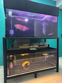 (Category: ) located in . Submitted by shang6799 (Listing ID 1325120599, Image 1). Description: .