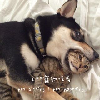 （分類：）位於 。 由 mandyho827 提交（商品編號 1325130621，圖片 1）。簡介： 。