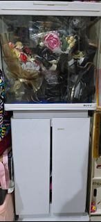 (Kategori: ) berada di . Dikirim oleh girlieshop (ID iklan 1325250429, Gambar 1). Deskripsi: .