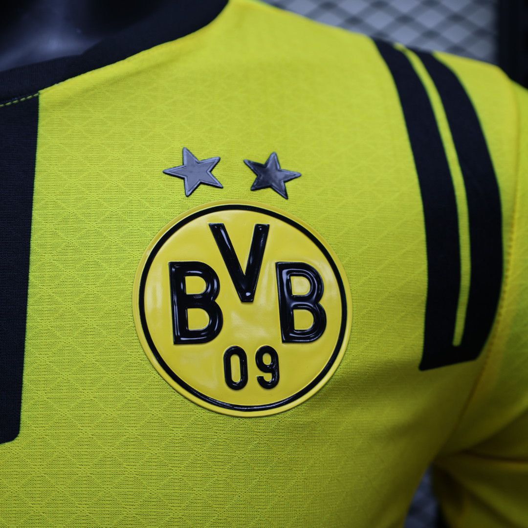 BVB Dortmund Player version Jersey 2425 Fourth kit Football Jersey