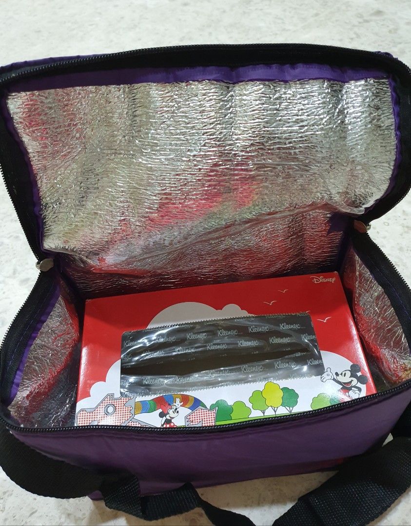 SALE Very New Professional Cooler Bag With Adjustable Strap Used To Put Freshly Pump Breastmilk During Office Hours Clean Condition Food Drinks Fresh Produce on Carousell