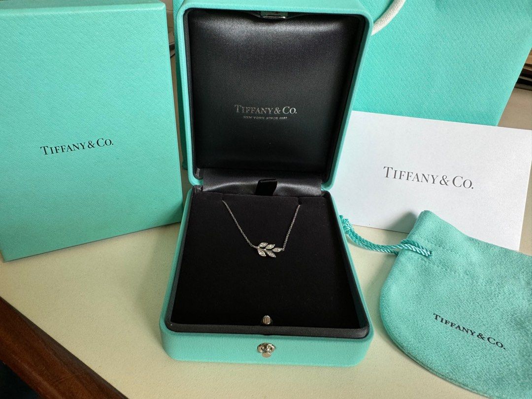 Tiffany and co necklace box shop