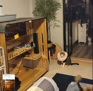(Category: ) located in . Submitted by sharmamarket (Listing ID 1325430320, Image 1). Description: .