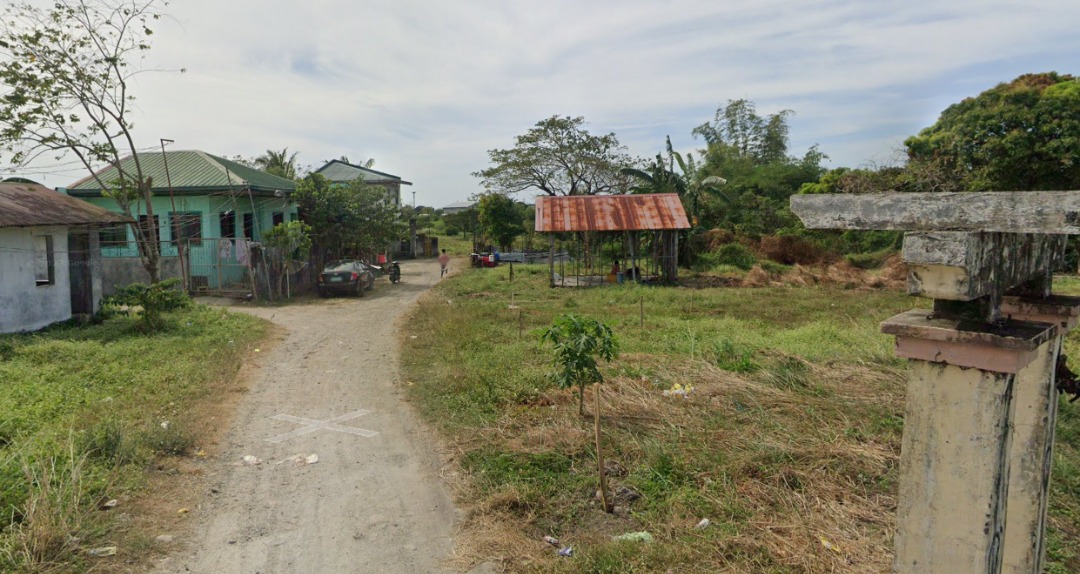 FOR SALE- Agricultural Lot in Brgy. Cacarong Bata, Pandi, Bulacan ...