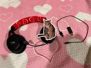 (Category: ) located in . Submitted by magicalramen (Listing ID 1325429169, Image 1). Description: .