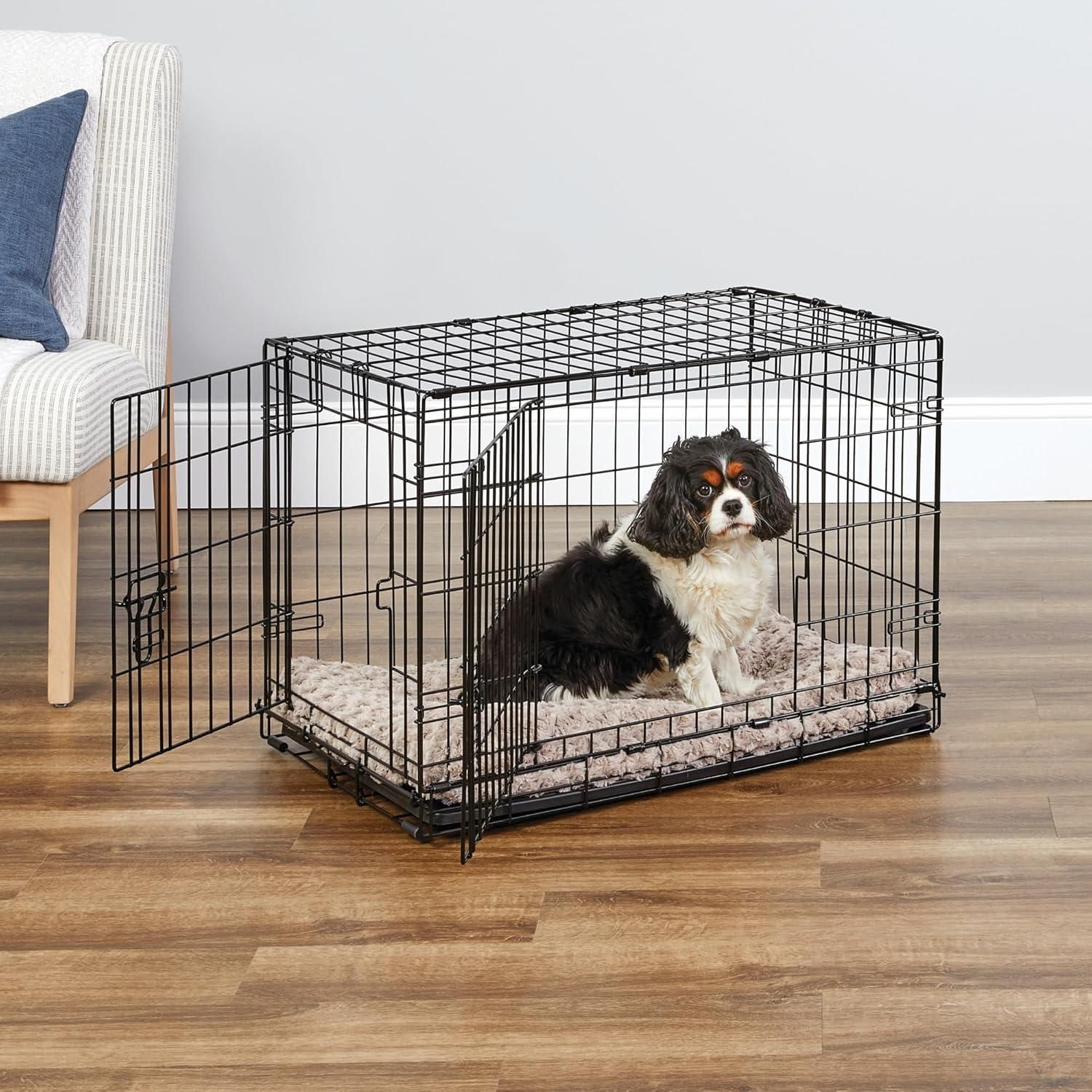 New World 30 Double Door Folding Metal Dog Crate Includes Leak Proof Plastic Tray Dog Crate Measures 30L x 19W x 21H Inches For Medium Dog Breeds 30 Inch Pet Supplies Homes Other