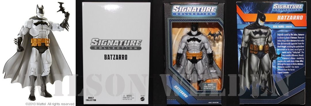 ORIGINAL MATTEL DC UNIVERSE CLUB INFINITE EARTH SIGNATURE
