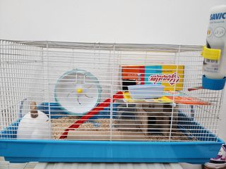 Affordable hamster cage for sale For Sale Pet Supplies Carousell Singapore