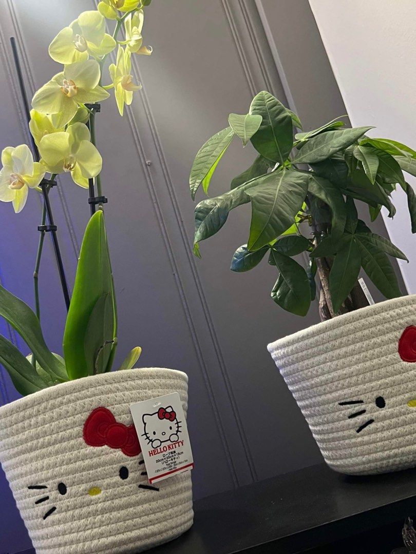 🇯🇵 Sanrio Hello Kitty Storage Rope Basket (Category: Storage Boxes & Baskets) located in Manila. Submitted by avenue.de.belle (Listing ID 1325563001, Image 3). Description: 🇯🇵 Sanrio Hello Kitty Storage Rope Basket 😻 Onhand in PH 😻 Last 4 pcs 😻 Keep a space organised in the most fun way with this Hello Kitty storage basket. Appearing in the classic colour, it features an embroidered appliqué of Kitty White’s face on the front. A perfect ho