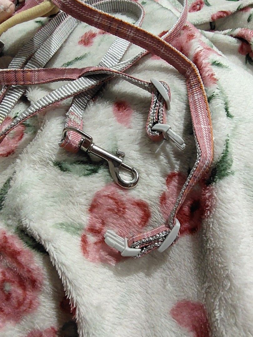 Cat Harness Pink Colour with Ribbon (Tali Kucing), Pet Supplies, Homes