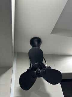 (Category: ) located in . Submitted by Falkrist (Listing ID 1325492724, Image 1). Description: .